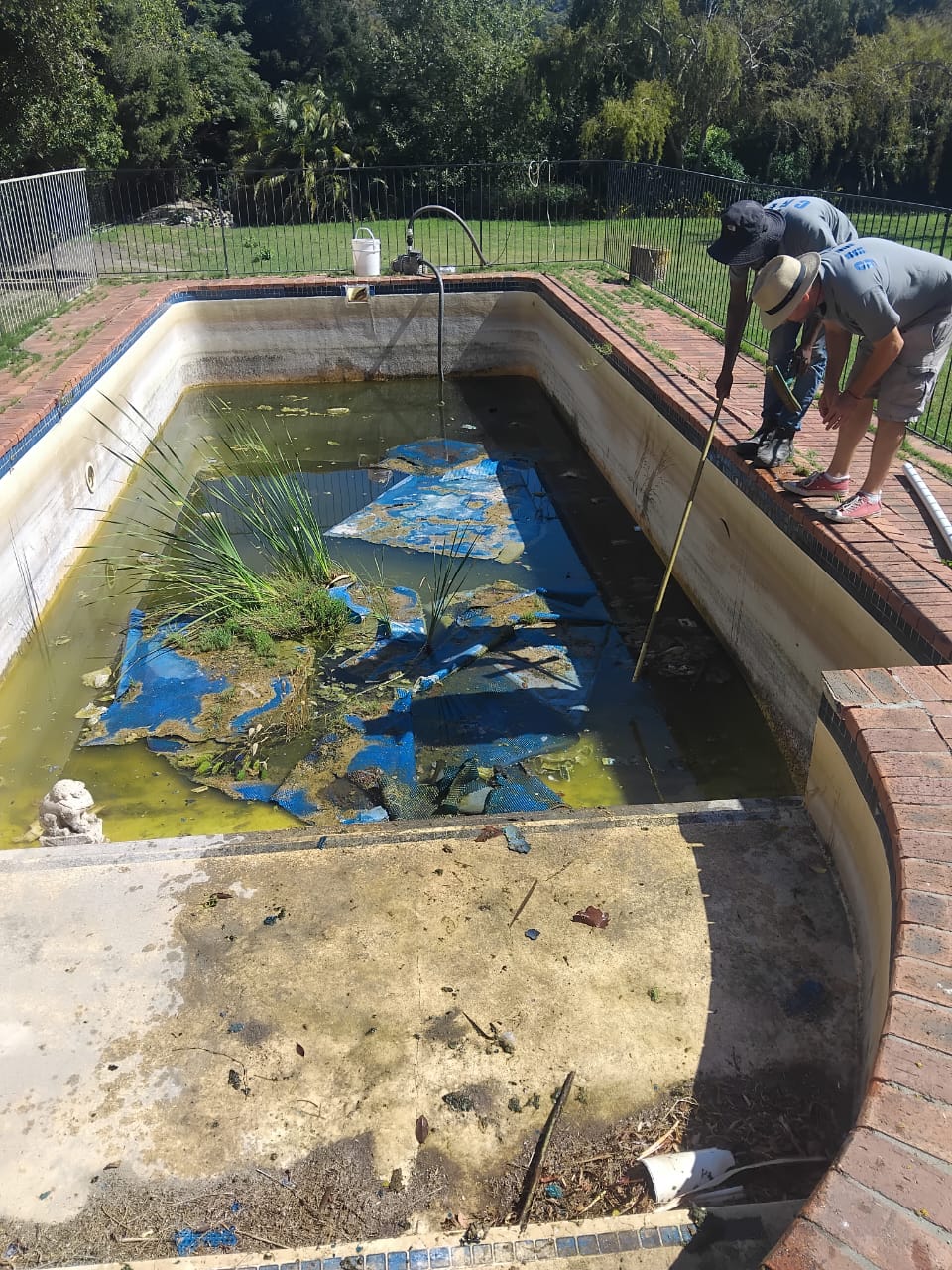 goldenvale farm - pool refurbishing 8
